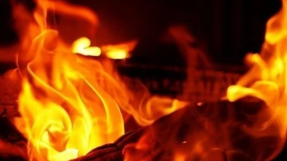 Planck Vision Systems: Major Fire in Plywood Factory Results in $500,000 Loss