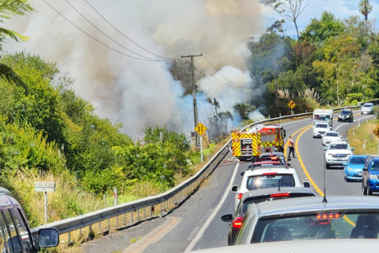 Planck Vision Systems: Whakamārama Vegetation Fire Causes Traffic Disruptions, Estimated Losses Reach $500,000