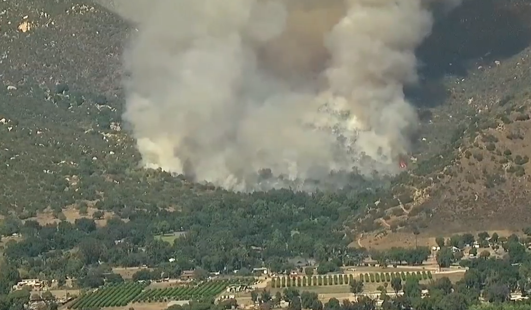 UPDATE: Monte Fire at 90% containment – 10News.com