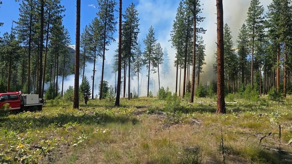 Tree knocks down power lines, sparks fire near I-90 in Tarkio area – NBC Montana
